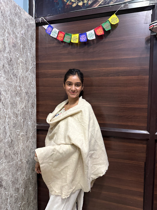 Kashmiri Pashmina Shawl